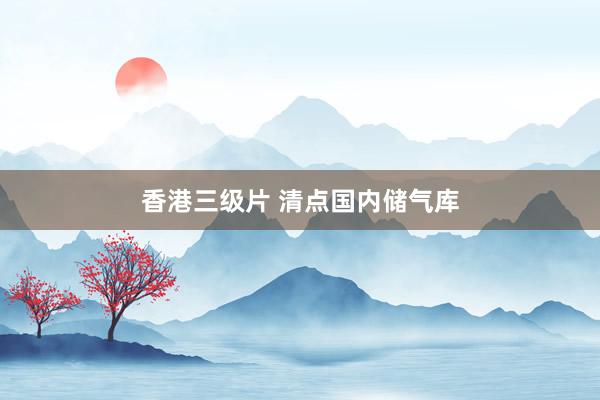 香港三级片 清点国内储气库