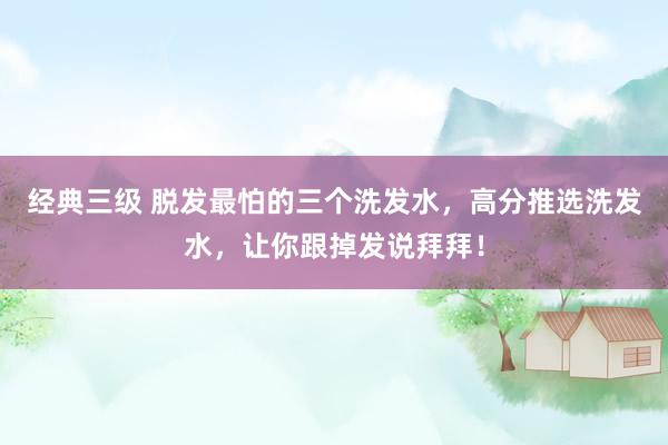 经典三级 脱发最怕的三个洗发水，高分推选洗发水，让你跟掉发说拜拜！