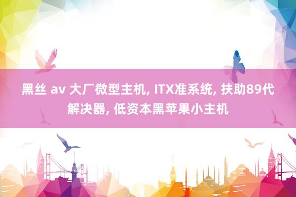 黑丝 av 大厂微型主机, ITX准系统, 扶助89代解决器