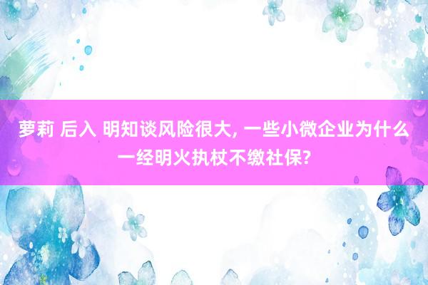 萝莉 后入 明知谈风险很大, 一些小微企业为什么一经明火执杖