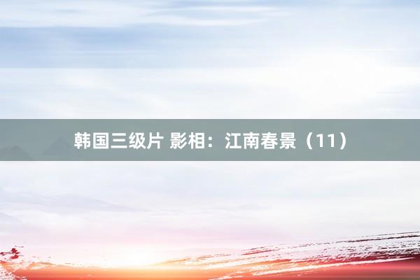 韩国三级片 影相：江南春景（11）